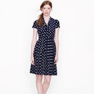 COPY - J crew polka dot vintage inspired dress